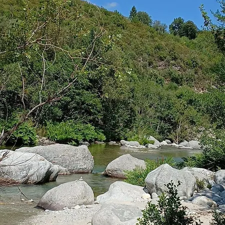 10 Min De Corte, 5 Couchages, * Venaco (Corsica)