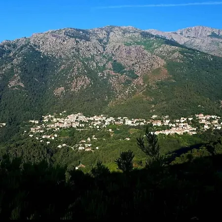 10 Min De Corte, 5 Couchages, Venaco (Corsica)